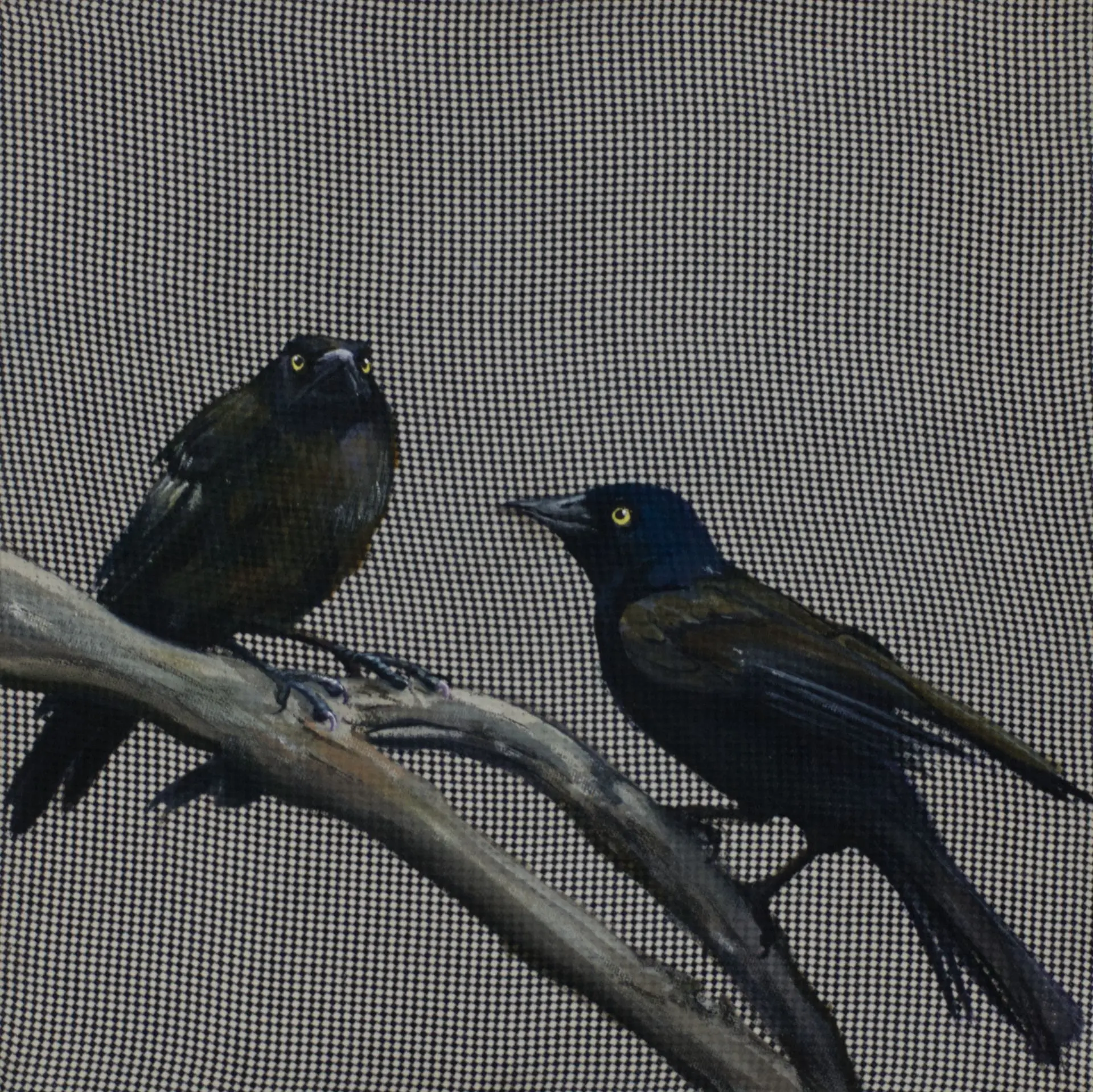 Grackle'ackin, Sold